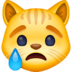 :crying_cat_face: