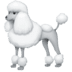 :poodle: :poodle:
