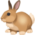 :rabbit2: