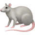 :rat: