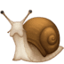 :snail: :snail:
