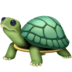 :turtle: :turtle: