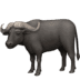 :water_buffalo: :water_buffalo: