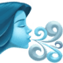 :wind_face: