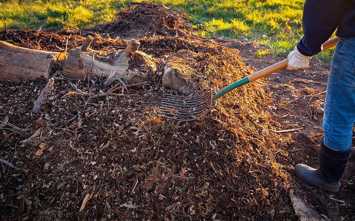 garten-herbst-kompost-umschichten