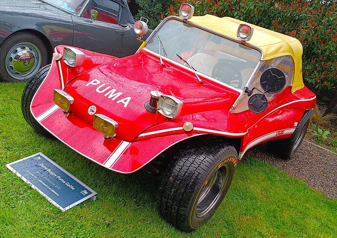 Dune_Buggy_Puma