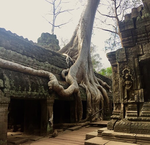 228 Ta Prohm