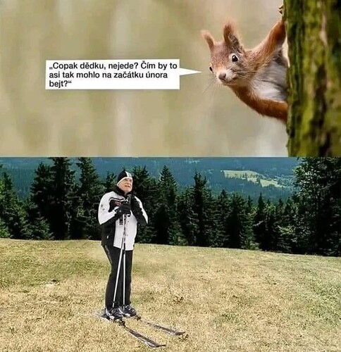nejede
