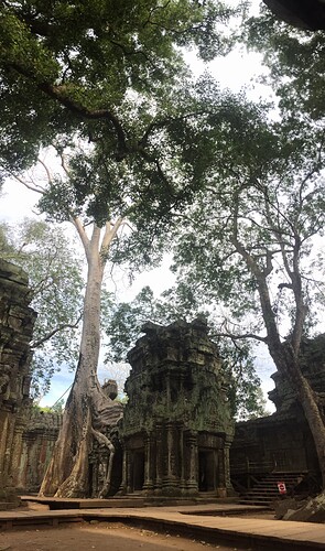 237 Ta Prohm