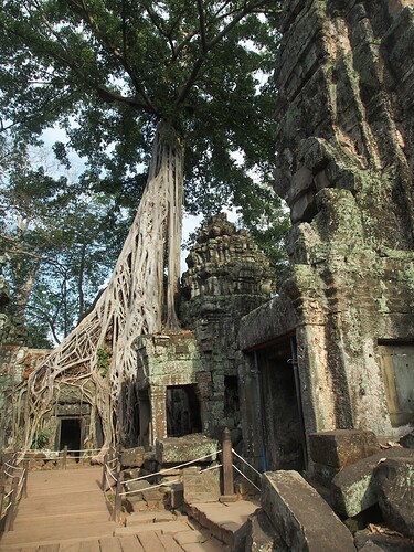 232 Ta Prohm