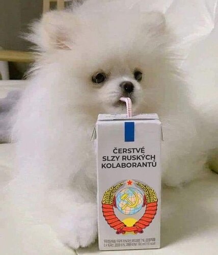 1000003406