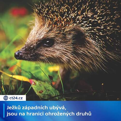 FB_IMG_1730291508235