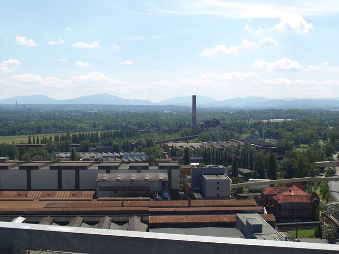 P8029136