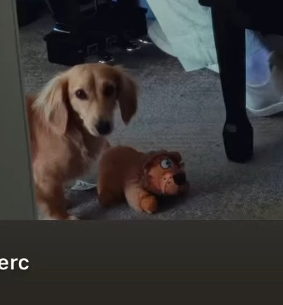 1000004416