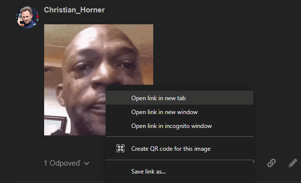 Snímek obrazovky 2025-10-25 131227